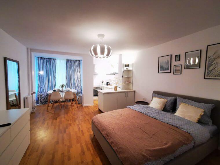 Rent Apartments Timisoara Take Ionescu 29 5